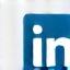 Icona LinkedIn